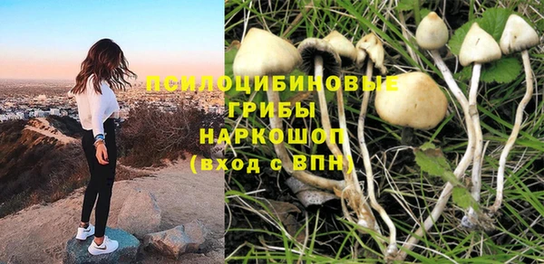 МДПВ Абдулино