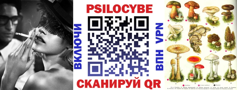 закладки  Пенза  Галлюциногенные грибы Psilocybine cubensis 